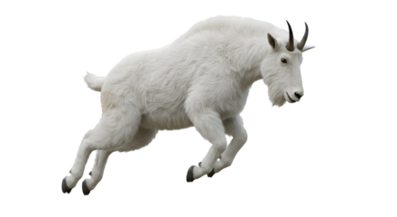 Isolated Mountain Goat Jumping Against Transparent Background Photo