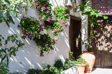 Naklejka premium Entrance to an old house with flowers and greenery on a white wall. Charming narrow street with flowers in the old town of Marmaris. 