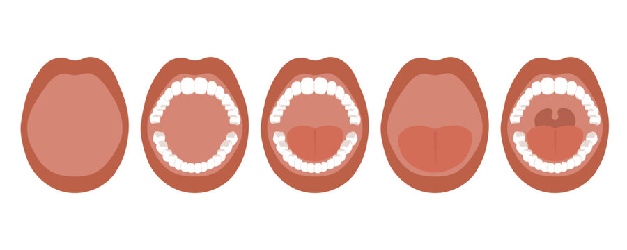 大きく開いた口の正面イラストのセット