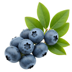 Isolated Photo Of Blueberries With Leaves A Healthy Transparent Background