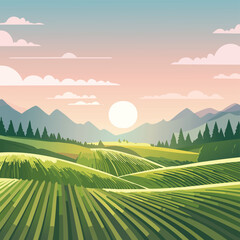 Fototapeta premium Aerial View of Plantation with Neat Rows in Morning Light – Symmetrical Crop Fields, Agricultural Landscape at Sunrise, Ideal for Farming, Nature, Rural Scenery, and Eco Agriculture Concepts