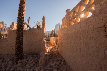 AlUla - Landscape - Oasis (Saudi Arabia)