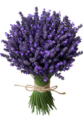 Fototapeta premium Isolated Purple Lavender Bouquet Illustration Against Transparent Background