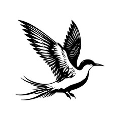 Obraz premium Elegant Black and White Silhouette of a Tern in Flight.