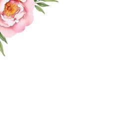 Obraz premium watercolor peony flower frame