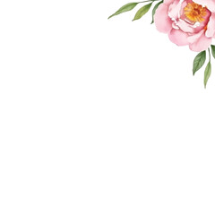 watercolor peony flower frame