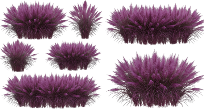 Isolated PNG Set of Bush Illustration of a Purple Plant with Transparent Background