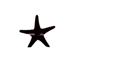 Obraz premium Isolated Realistic Starfish Illustration With Transparent Background