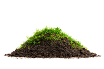 Lush green grass atop dark brown soil pile isolated on black background