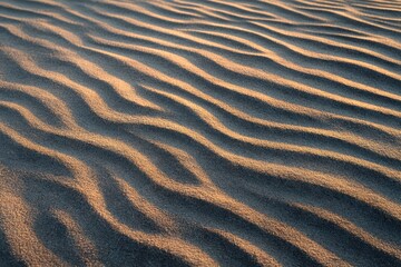 Obraz premium Rippled sand texture in evening light