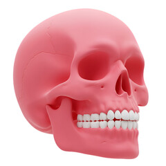 Obraz premium Pink Skull Illustration with Realistic Teeth on Transparent Background