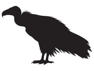 VULTURE BIRD SILHOUETTE