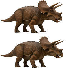 Fototapeta premium Realistic 3D Illustration Of A Horned Dinosaur Triceratops Isolated Background