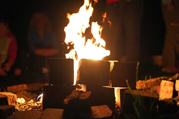 Campfire close-up and people around it at night