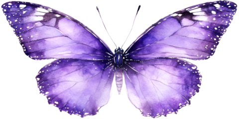Beautifully detailed iridescent purple butterfly with intricate wing patterns isolated on transparent background