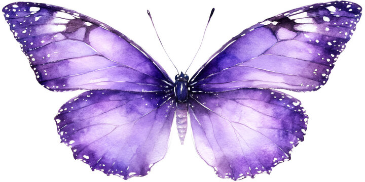 Beautifully detailed iridescent purple butterfly with intricate wing patterns isolated on transparent background