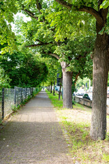 Green Alley in the city of Stuttgart