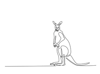 Wild kangaroo in single outline illustration. Continuous line art drawing of kangaroo animal.