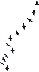 Realistic Illustration of Birds Flying in Formation against Transparent Black