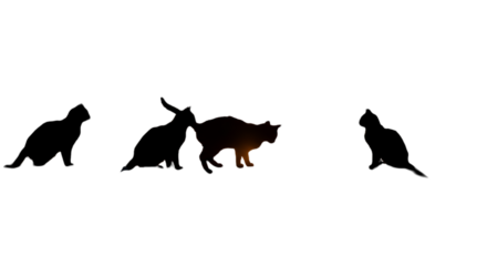 Silhouette Cat Walking In The Dark Night Illustration On Black Isolated Background