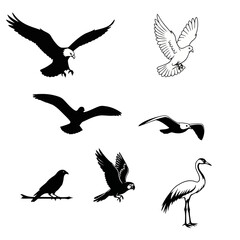 Obraz premium Birds Silhouette Collection: A captivating compilation of birds, meticulously captured in elegant silhouette, showcasing their unique characteristics, ideal for artistic designs.