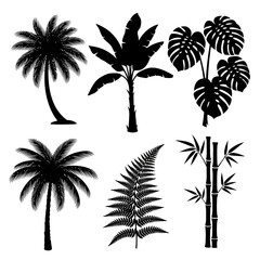 Obraz premium Tropical Paradise Silhouettes: A selection of detailed black silhouettes of diverse tropical plants, including palm trees, banana leaves, ferns, and bamboo, against a clean backdrop.