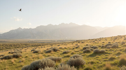 Scenic landscape with mountains and grassy plains under sunlight  