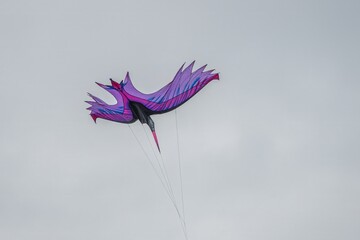 purple bird kite  Portsmouth International Kite Festival July 2025