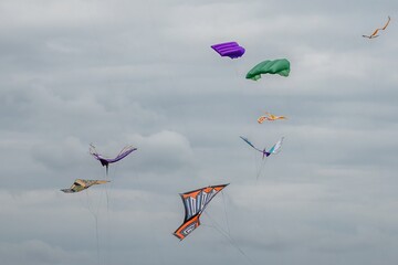 assortment of kites in the sky Portsmouth International Kite Festival July 2025