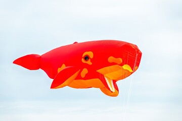 brightly coloured whale kite  Portsmouth International Kite Festival July 2025