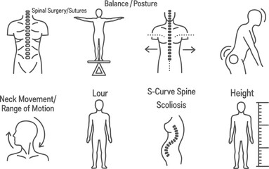 Diagram illustrating spinal posture and alignment variations in the human body