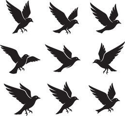 Obraz premium Set of Flying Bird Silhouettes – Black and White Vector Illustration