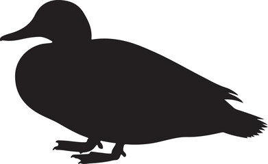WATERFOWL BIRD SILHOUETTE