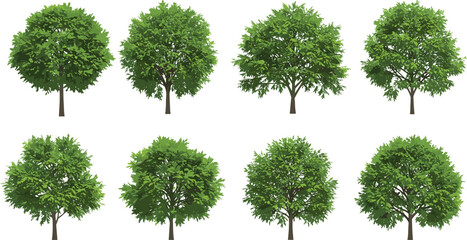 
Set of Green Trees, Realistic Vector Trees Collection, Tree Clipart for Landscaping Design, Nature Elements, Summer Illustration