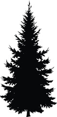 Black Silhouette Illustration of a Tall Pine or Fir Tree