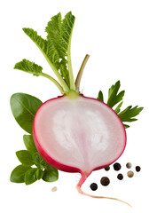 Radish Vegetable Illustration With Green Leaves Isolated on Black Background