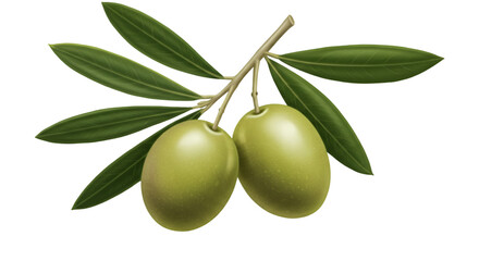 Realistic Illustration of Two Green Olives on Branch Isolated Transparent Background