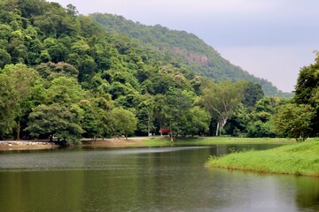 Obraz premium Serene Lakeside Landscape: An idyllic view of a calm lake reflecting lush green trees and a gentle hill, a testament to the harmony of nature.