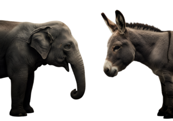 Realistic Isolated Illustration Of Elephant And Donkey Political Symbols