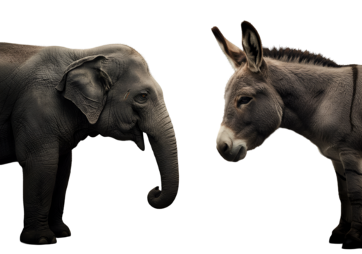 Realistic Isolated Illustration Of Elephant And Donkey Political Symbols - Powered by Adobe