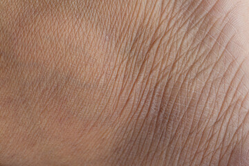 Human skin macro,Close up skin texture with wrinkles on body human.