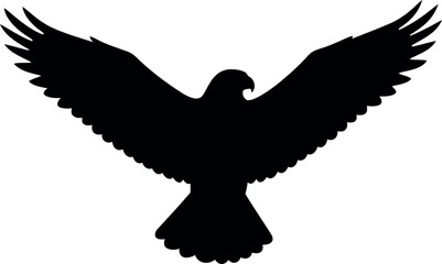 Silhouette of eagle in flight wings spread wide