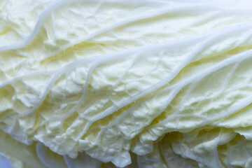 Macro cabbage,Macro shot of the cabbage ,White cabbage in section. Cut cabbage. Light leaves of...