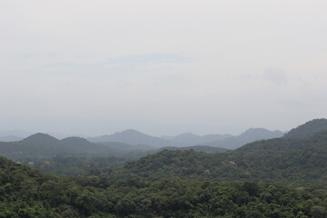 Serene Mountain Vista: A tranquil panoramic view of rolling mountains covered in lush green forests stretching towards the horizon under a hazy sky. 
