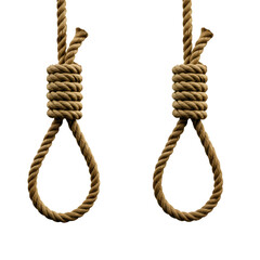 Two Hanging Nooses Isolated On Transparent Background Brown Ropes Texture