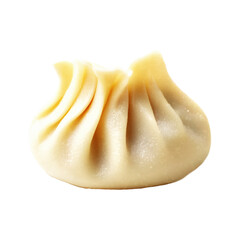 Dumpling,  isolated on white background	