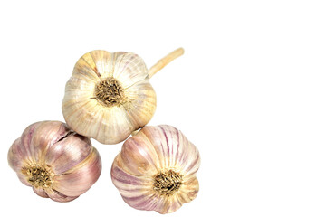 Several heads of garlic lie in a pile on a white background.