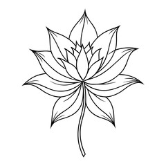 black and white flower