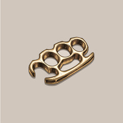 Brass Knuckles icon logo flat vector design