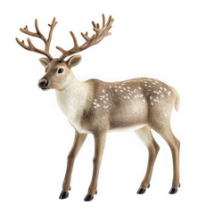 Obraz premium Realistic reindeer buck with antlers wildlife animal figure decoration christmas winter holiday season decorative isolated on transparent background